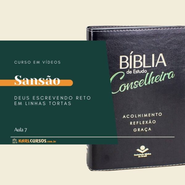 Curso Bíblia Conselheira - Aula 7 - Sansão