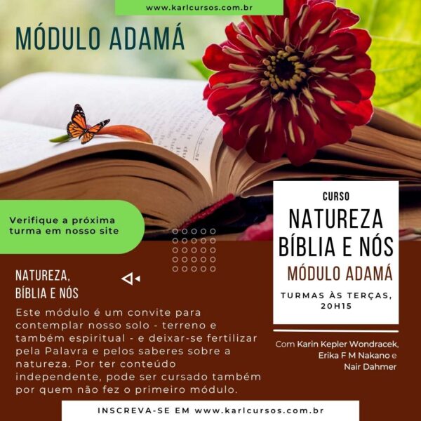 Curso Natureza, Bíblia e Nós, imagem ilustrativa do curso com árvore e bíblia